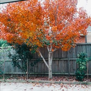 Meet your Posher, Linh